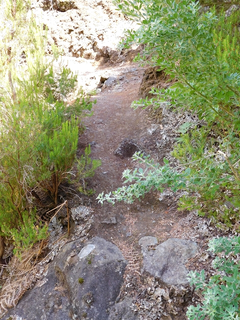 21.07.2015 Cascalho von Pedras, Levada das Rabaças und Lombo do Mouro — Aufstieg zur 'Sergio'-Tafel — Foto 11