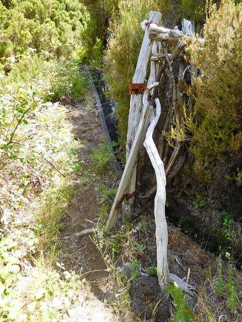 21.07.2015 Cascalho von Pedras, Levada das Rabaças und Lombo do Mouro — Aufstieg zur 'Sergio'-Tafel — Foto 13