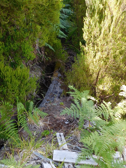 21.07.2015 Cascalho von Pedras, Levada das Rabaças und Lombo do Mouro — Aufstieg zur 'Sergio'-Tafel — Foto 14