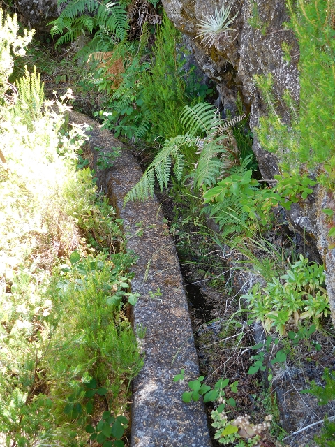 21.07.2015 Cascalho von Pedras, Levada das Rabaças und Lombo do Mouro — Aufstieg zur 'Sergio'-Tafel — Foto 15