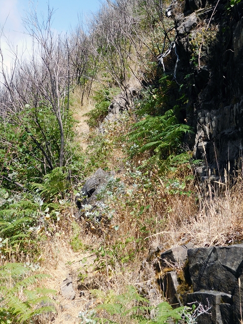 21.07.2015 Cascalho von Pedras, Levada das Rabaças und Lombo do Mouro — Aufstieg zur 'Sergio'-Tafel — Foto 16