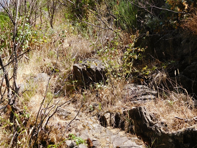 21.07.2015 Cascalho von Pedras, Levada das Rabaças und Lombo do Mouro — Aufstieg zur 'Sergio'-Tafel — Foto 17