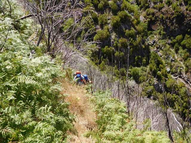 21.07.2015 Cascalho von Pedras, Levada das Rabaças und Lombo do Mouro — Aufstieg zur 'Sergio'-Tafel — Foto 19