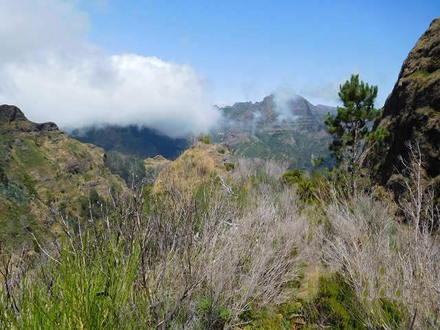 21.07.2015 Cascalho von Pedras, Levada das Rabaças und Lombo do Mouro — Aufstieg zum Lombo do Mouro-Haus, ER-110 und nach Pedras. — Foto 5