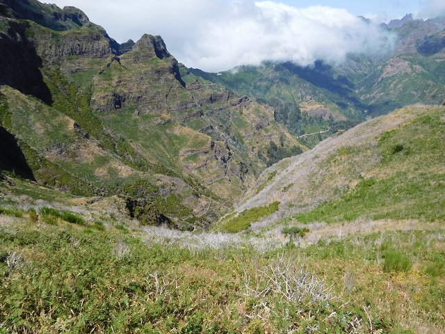 21.07.2015 Cascalho von Pedras, Levada das Rabaças und Lombo do Mouro — Aufstieg zum Lombo do Mouro-Haus, ER-110 und nach Pedras. — Foto 7