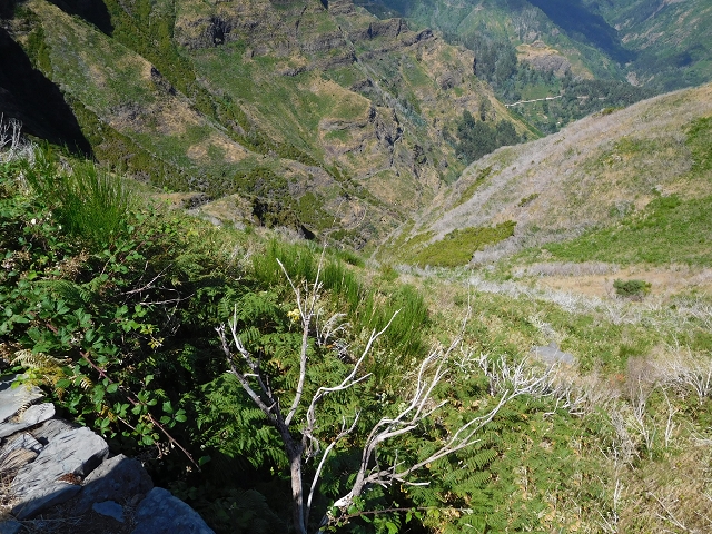 21.07.2015 Cascalho von Pedras, Levada das Rabaças und Lombo do Mouro — Aufstieg zum Lombo do Mouro-Haus, ER-110 und nach Pedras. — Foto 8