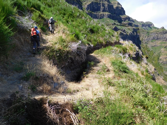 21.07.2015 Cascalho von Pedras, Levada das Rabaças und Lombo do Mouro — Aufstieg zum Lombo do Mouro-Haus, ER-110 und nach Pedras. — Foto 10