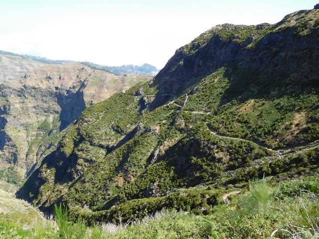 21.07.2015 Cascalho von Pedras, Levada das Rabaças und Lombo do Mouro — Aufstieg zum Lombo do Mouro-Haus, ER-110 und nach Pedras. — Foto 19
