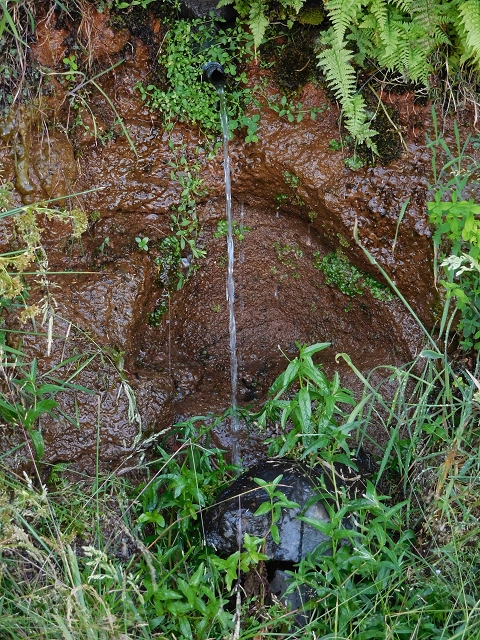 21.07.2015 Cascalho von Pedras, Levada das Rabaças und Lombo do Mouro — Aufstieg zum Lombo do Mouro-Haus, ER-110 und nach Pedras. — Foto 26