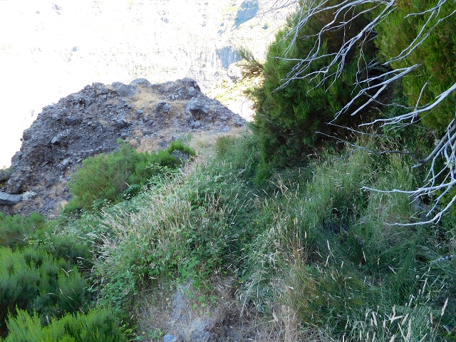 21.07.2015 Cascalho von Pedras, Levada das Rabaças und Lombo do Mouro — Weiter auf dem alten Zugangsweg zum Rabacas-Tunnel — Foto 3