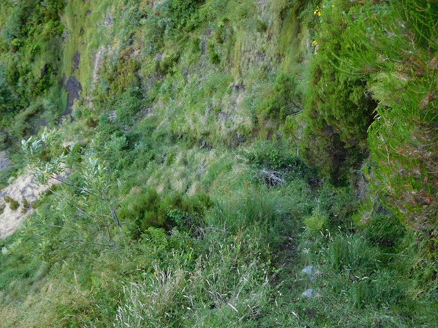 21.07.2015 Cascalho von Pedras, Levada das Rabaças und Lombo do Mouro — Weiter auf dem alten Zugangsweg zum Rabacas-Tunnel — Foto 8