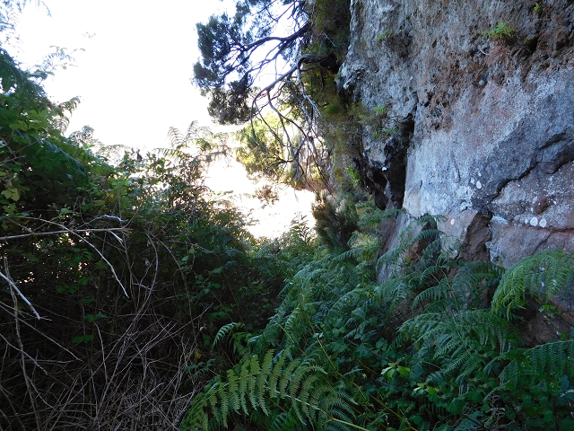 21.07.2015 Cascalho von Pedras, Levada das Rabaças und Lombo do Mouro — Weiter auf dem alten Zugangsweg zum Rabacas-Tunnel — Foto 12