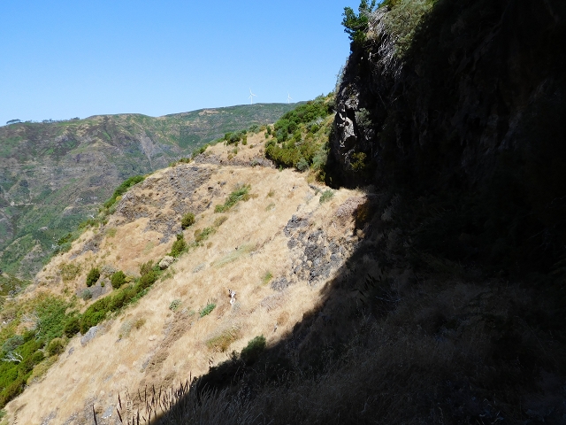 21.07.2015 Cascalho von Pedras, Levada das Rabaças und Lombo do Mouro — Weiter auf dem alten Zugangsweg zum Rabacas-Tunnel — Foto 13