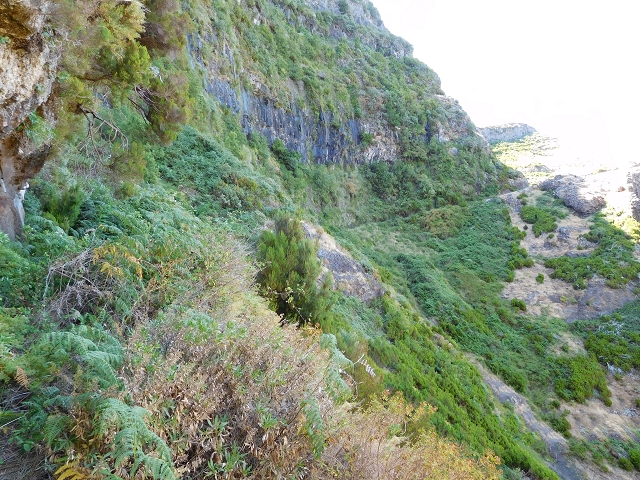 21.07.2015 Cascalho von Pedras, Levada das Rabaças und Lombo do Mouro — Weiter auf dem alten Zugangsweg zum Rabacas-Tunnel — Foto 14
