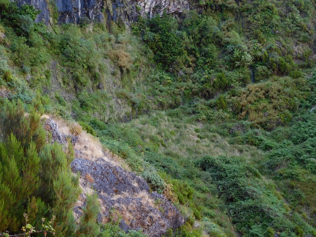 21.07.2015 Cascalho von Pedras, Levada das Rabaças und Lombo do Mouro — Weiter auf dem alten Zugangsweg zum Rabacas-Tunnel — Foto 15