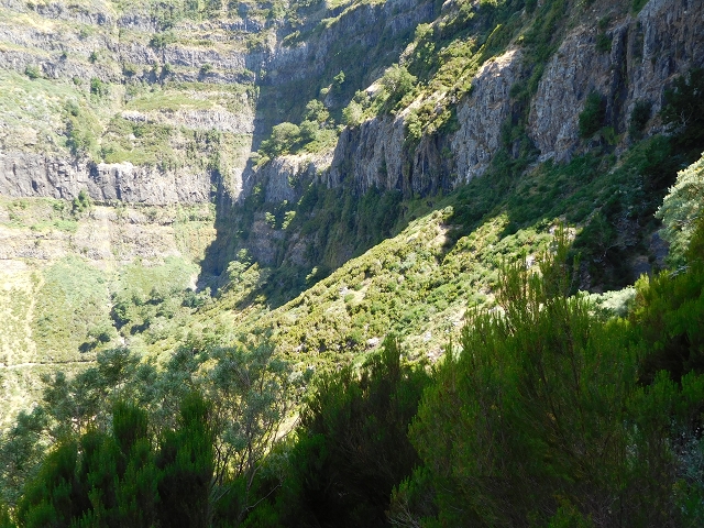 21.07.2015 Cascalho von Pedras, Levada das Rabaças und Lombo do Mouro — Weiter auf dem alten Zugangsweg zum Rabacas-Tunnel — Foto 25