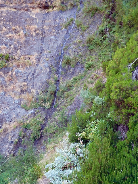 21.07.2015 Cascalho von Pedras, Levada das Rabaças und Lombo do Mouro — Weiter auf dem alten Zugangsweg zum Rabacas-Tunnel — Foto 26