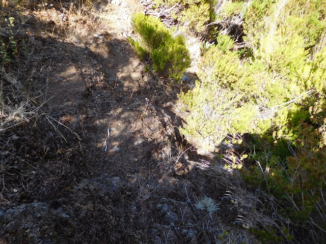 21.07.2015 Cascalho von Pedras, Levada das Rabaças und Lombo do Mouro — Weiter auf dem alten Zugangsweg zum Rabacas-Tunnel — Foto 36