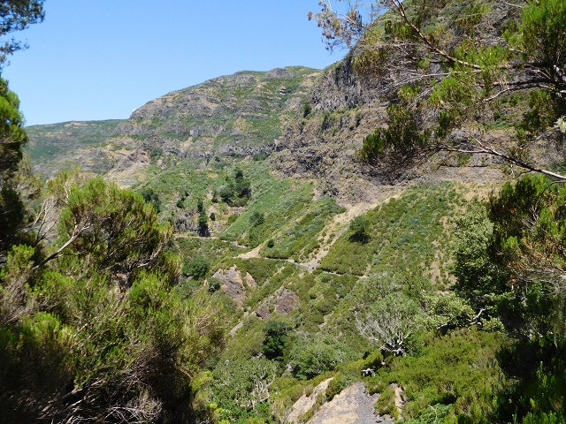 21.07.2015 Cascalho von Pedras, Levada das Rabaças und Lombo do Mouro — Weiter auf dem alten Zugangsweg zum Rabacas-Tunnel — Foto 39