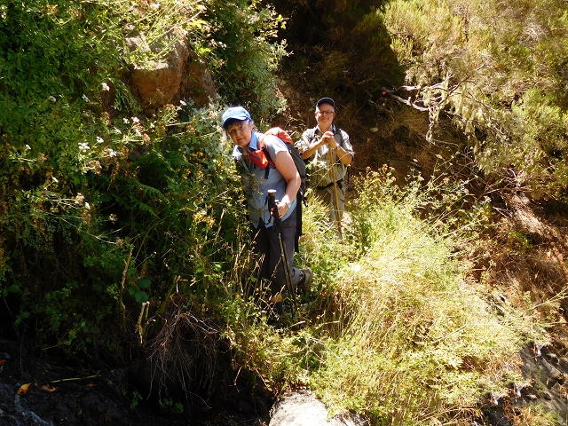 21.07.2015 Cascalho von Pedras, Levada das Rabaças und Lombo do Mouro — Weiter auf dem alten Zugangsweg zum Rabacas-Tunnel — Foto 40