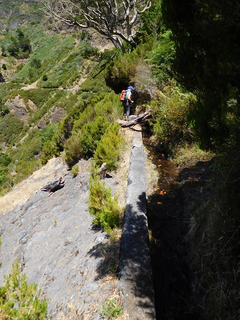 21.07.2015 Cascalho von Pedras, Levada das Rabaças und Lombo do Mouro — Weiter auf dem alten Zugangsweg zum Rabacas-Tunnel — Foto 42