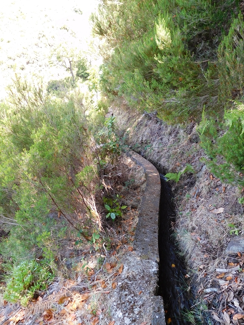 21.07.2015 Cascalho von Pedras, Levada das Rabaças und Lombo do Mouro — Weiter auf dem alten Zugangsweg zum Rabacas-Tunnel — Foto 43