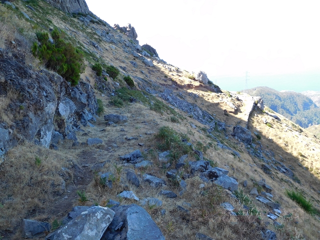 21.07.2015 Cascalho von Pedras, Levada das Rabaças und Lombo do Mouro — Von Pedras zum Einstieg in den Cascalho — Foto 7