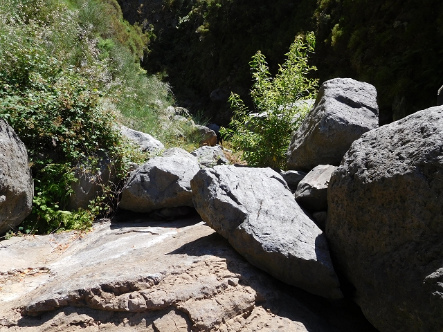 21.07.2015 Cascalho von Pedras, Levada das Rabaças und Lombo do Mouro — Auf der Levada das Rabacas zum westlichen Kessel — Foto 4