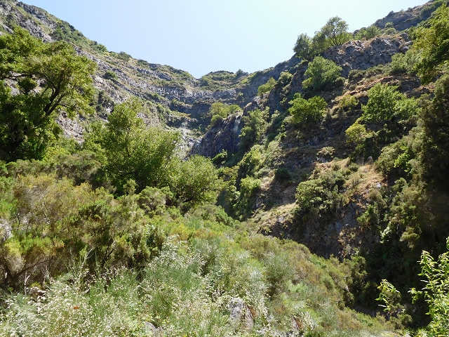 21.07.2015 Cascalho von Pedras, Levada das Rabaças und Lombo do Mouro — Auf der Levada das Rabacas zum westlichen Kessel — Foto 5