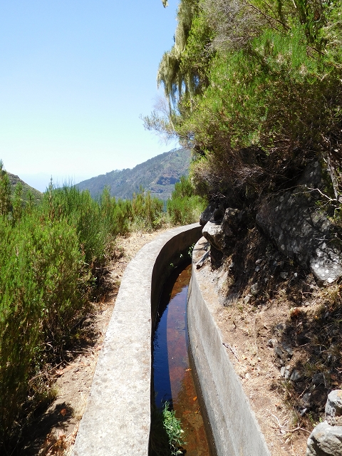 21.07.2015 Cascalho von Pedras, Levada das Rabaças und Lombo do Mouro — Auf der Levada das Rabacas zum westlichen Kessel — Foto 7