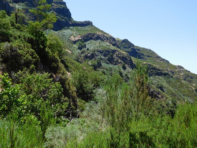 21.07.2015 Cascalho von Pedras, Levada das Rabaças und Lombo do Mouro — Auf der Levada das Rabacas zum westlichen Kessel — Foto 8