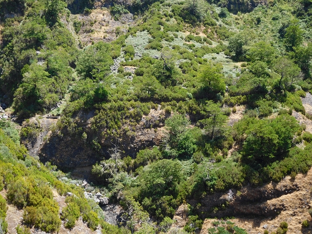 21.07.2015 Cascalho von Pedras, Levada das Rabaças und Lombo do Mouro — Auf der Levada das Rabacas zum westlichen Kessel — Foto 11