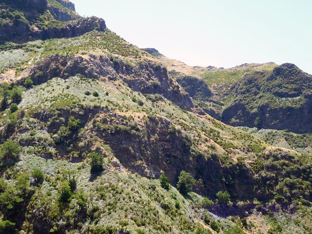 21.07.2015 Cascalho von Pedras, Levada das Rabaças und Lombo do Mouro — Auf der Levada das Rabacas zum westlichen Kessel — Foto 12