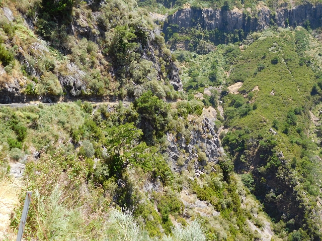 21.07.2015 Cascalho von Pedras, Levada das Rabaças und Lombo do Mouro — Auf der Levada das Rabacas zum westlichen Kessel — Foto 23