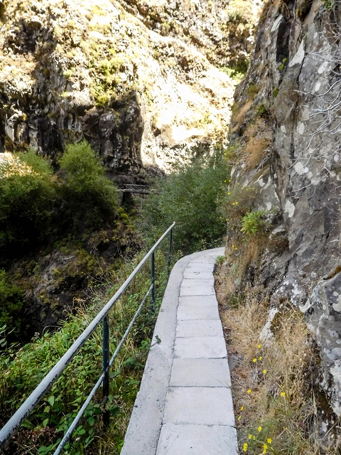 21 August 2017 Levada do Cidrao and a visit to the upper Miradouro do Curral das Freiras — On the levada to the Madre — photo 2