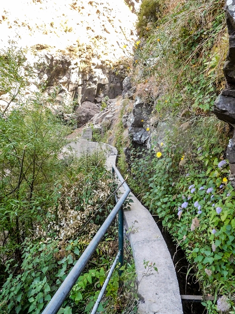 21 August 2017 Levada do Cidrao and a visit to the upper Miradouro do Curral das Freiras — On the levada to the Madre — photo 4
