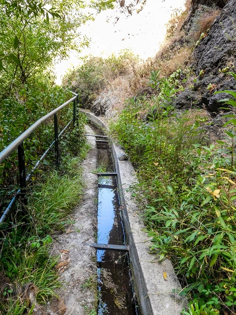 Levada do Cidrao — Bis zur Brücke — Foto 5