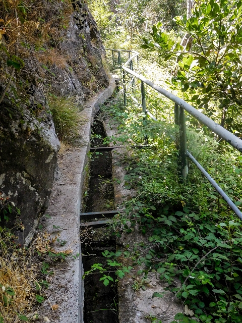 Levada do Cidrao — Bis zur Brücke — Foto 6