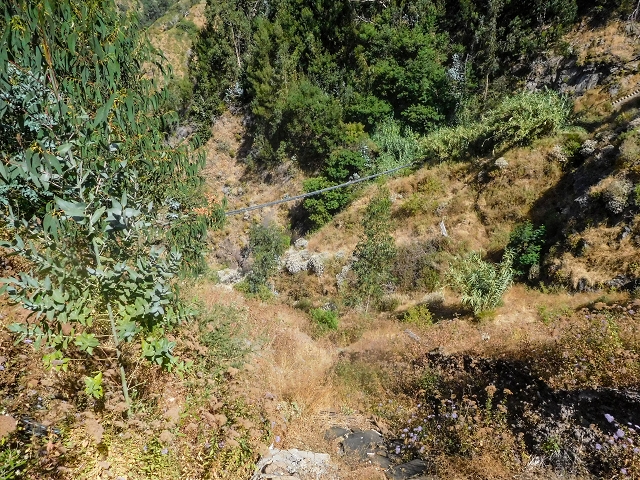 Levada do Cidrao — Tunnelausgang, Rohrbrücke und Zugangstreppe — Foto 2
