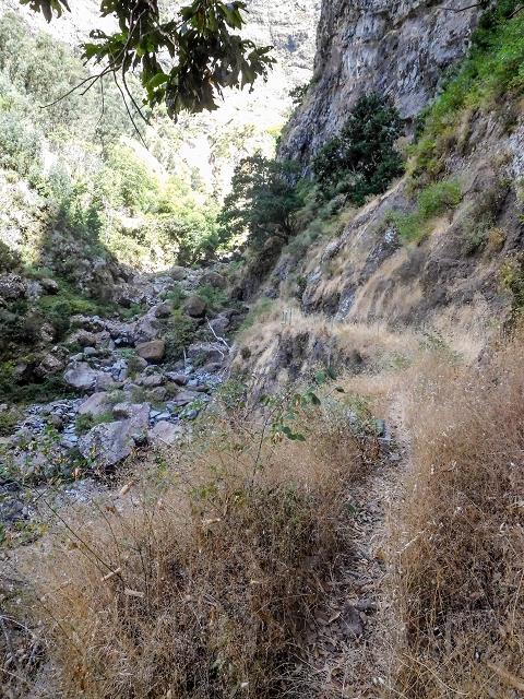 Levada do Cidrao — Die ersten ausgesetzten Meter — Foto 5