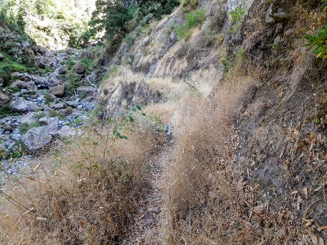 Levada do Cidrao — Die ersten ausgesetzten Meter — Foto 7