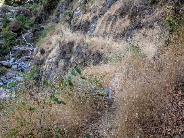 Levada do Cidrao — Die ersten ausgesetzten Meter — Foto 8
