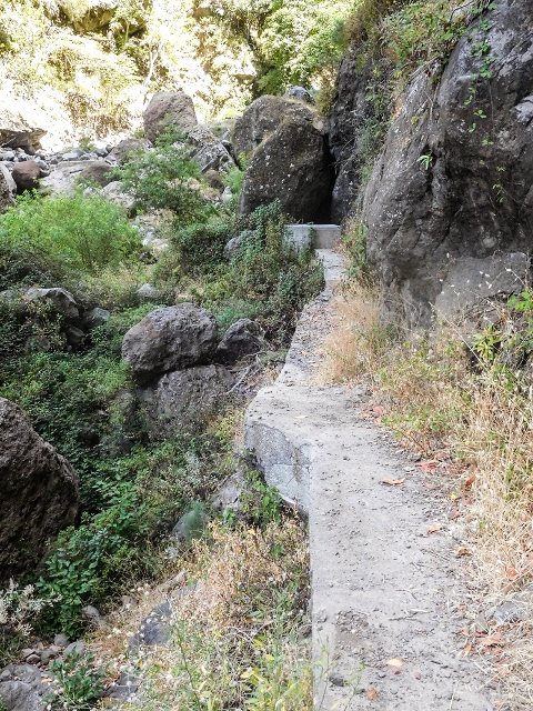 21 August 2017 Levada do Cidrao and a visit to the upper Miradouro do Curral das Freiras — On the levada to the Madre — photo 16