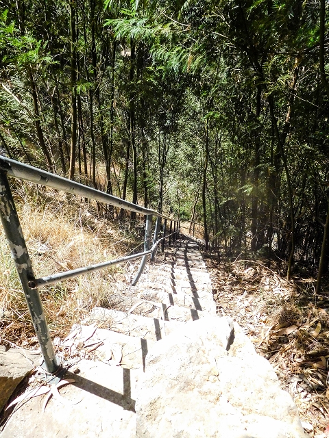 Levada do Cidrao — Tunnelausgang, Rohrbrücke und Zugangstreppe — Foto 5