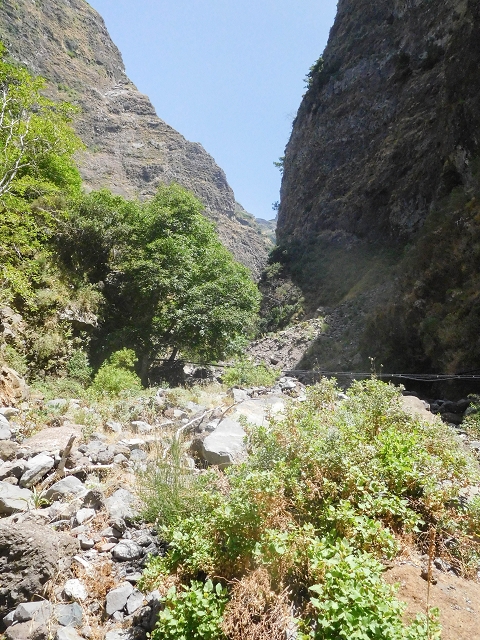 Levada do Cidrao — Madrebereich — Foto 4