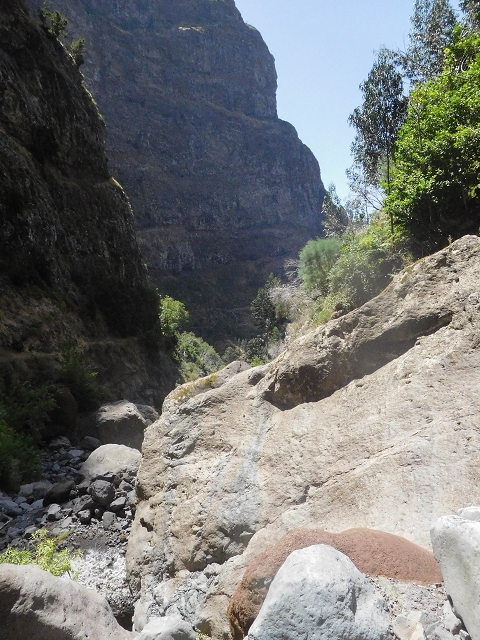 Levada do Cidrao — Madrebereich — Foto 5