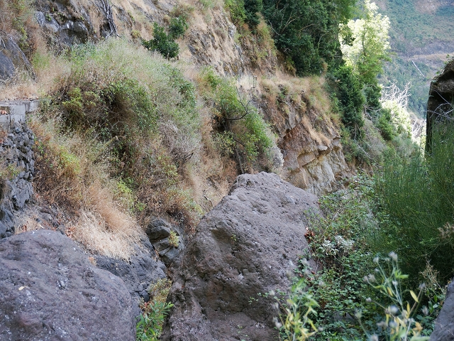 Levada do Cidrao — Die ersten ausgesetzten Meter — Foto 1