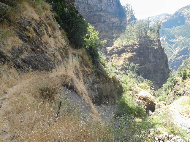 Levada do Cidrao — Die ersten ausgesetzten Meter — Foto 2