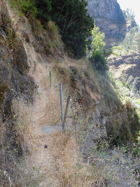 Levada do Cidrao — Die ersten ausgesetzten Meter — Foto 3