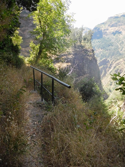 Levada do Cidrao — Bis zur Brücke — Foto 1